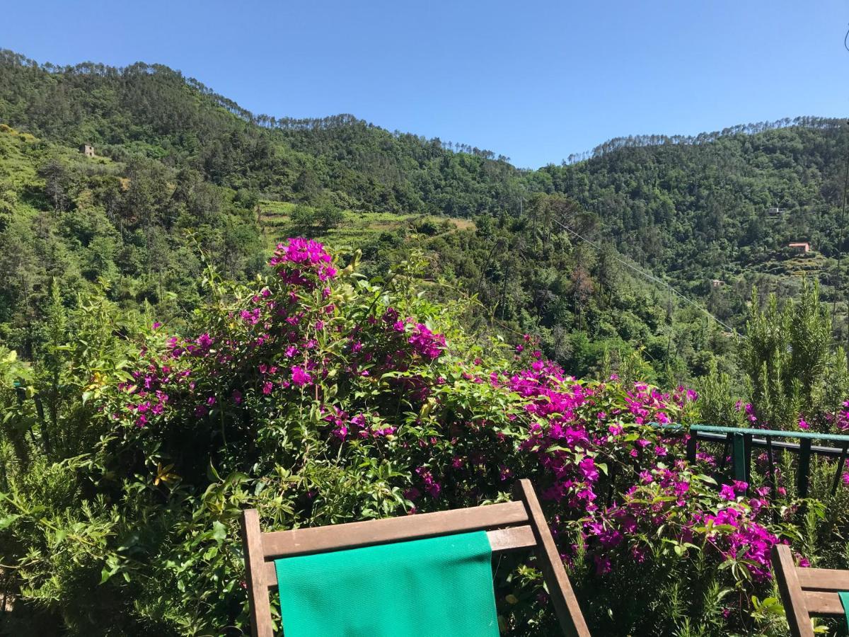 Cottage La Terrazza Леванто Екстериор снимка