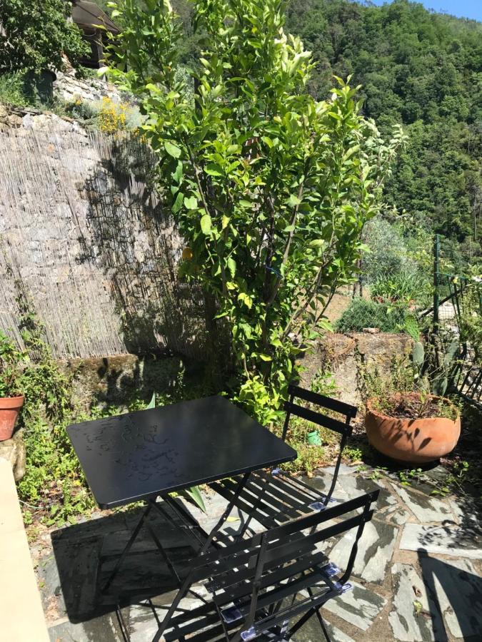 Cottage La Terrazza Леванто Екстериор снимка